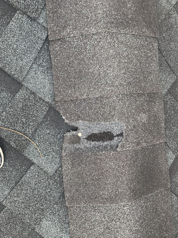 Slide of Eagle’s Speedy Construction