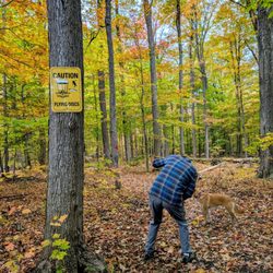 Royalton Ravine County Park