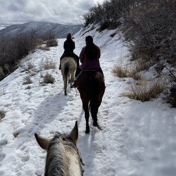 Rocky Mountain Outfitters - Going uphill. - Horseback Riding Near Me - Midway, Utah Rocky Mountain Outfitters - Going uphill. - Horseback Riding Near Me - Midway, Utah