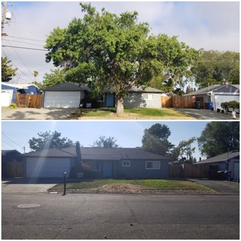 Oak Grove Tree Care - Before and after - Tree Services Near Me