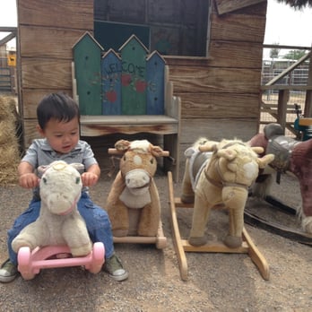 J R Pony Parties - Stuffed pony rides - Party & Event Planning Near Me - Las Vegas, Nevada