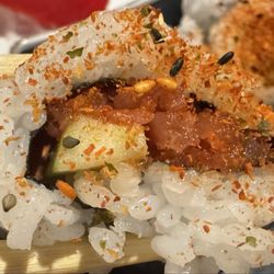 Koi Sushi - Spicy tuna long