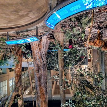 香港歷史博物館 - Prehistoric Exhibit - Museums Near Me - Hong Kong, HK