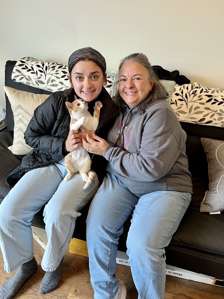 HOME AT LAST HUMANE SOCIETY Updated September 2024 10 Reviews 200