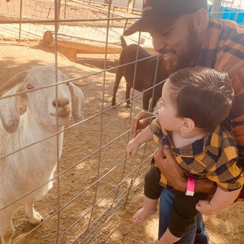 Mortimer Farms - Attraction Farms Near Me - Dewey, Arizona Mortimer Farms - Attraction Farms Near Me - Dewey, Arizona