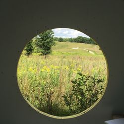 Homestead Parklands