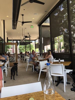 The Grove Wine Bar Kitchen Order Food Online 41 Photos 70