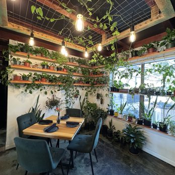 Ivy and Ale - Window seating with plants - Nurseries & Gardening Near Me - Fort Walton Beach, Florida