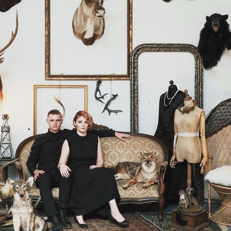 Absinthe Taxidermy Rentals & Sales - taxidermy in Atlanta, GA