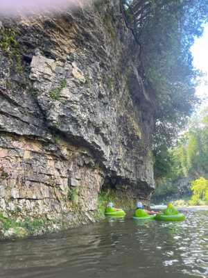 Elora Gorge Conservation Area by null