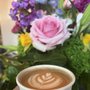 Sweetbay Coffee