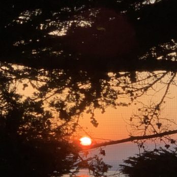 Blue Dolphin Inn - Sunset from our room - Hotels Near Me - Cambria, California
