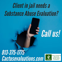 Cactus Substance Abuse and Mental Health Evaluations