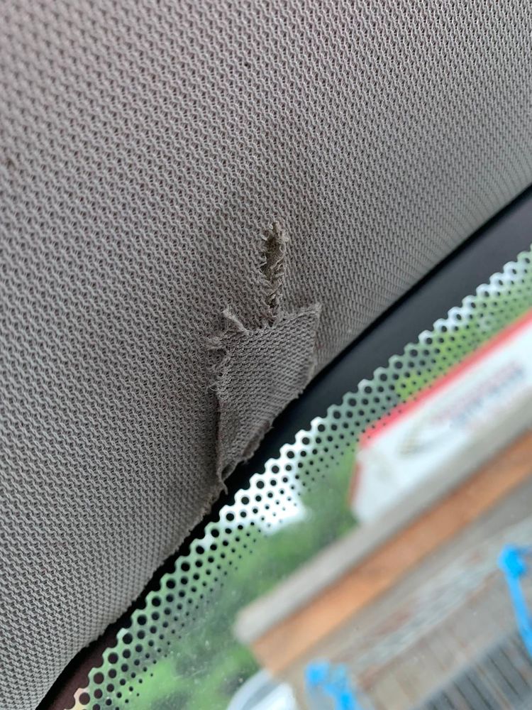 PERFORMANCE AUTO GLASS Updated July 2024 27 Photos 2481 N Delsea