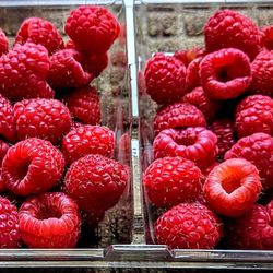 Organic Raspberries, 12 oz., Item: 251680