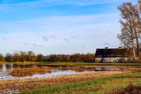 Billy Frank Jr. Nisqually National Wildlife Refuge by null
