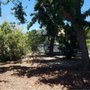 Photo of AVR Tree Service