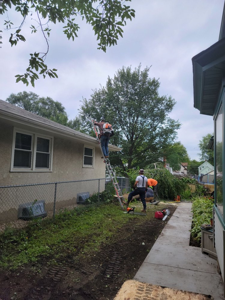 BNW Outdoor Solutions - tree service in Saint Paul, MN