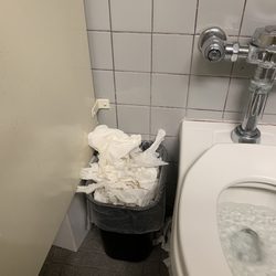 Burlington - Ladies bathroom