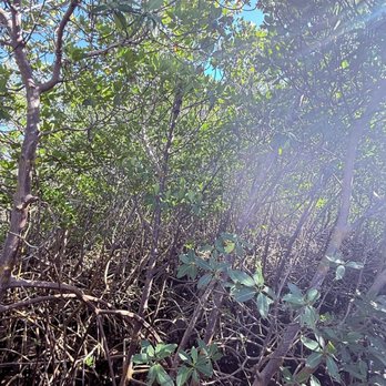 Anne Kolb Nature Center - Parks Near Me - Hollywood, Florida