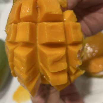 Vuon Trai Cay Miami - Mango & Logan - Pick Your Own Farms Near Me - Miami, Florida Vuon Trai Cay Miami - Mango & Logan - Pick Your Own Farms Near Me - Miami, Florida