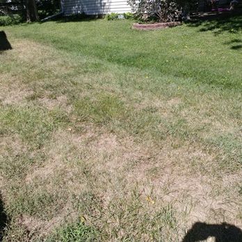 TruGreen Lawn Care - This is what truegreen did to my yard after they sprayed. - Tree Services Near Me - Shawnee, Kansas TruGreen Lawn Care - This is what truegreen did to my yard after they sprayed. - Tree Services Near Me - Shawnee, Kansas