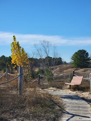Kohler-Andrae State Park by null