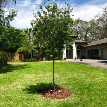 Hogan Landscapes - New Tree! - Landscaping Near Me Hogan Landscapes - New Tree! - Landscaping Near Me