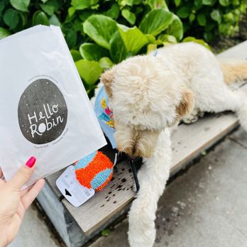Hello Robin - Cookies x the pup! - Bakeries Near Me - Seattle, Washington