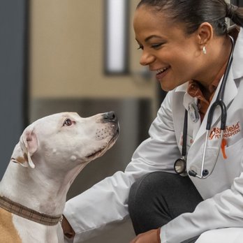 Banfield Pet Hospital - Veterinarians Near Me - Edison, New Jersey Banfield Pet Hospital - Veterinarians Near Me - Edison, New Jersey