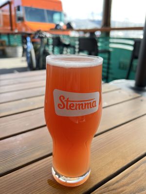 Stemma Brewing Company by null