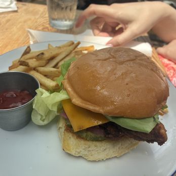 Kramers All Day Restaurant - Crispy Chicken Sandwich - New American Near Me - Washington, DC, District of Columbia Kramers All Day Restaurant - Crispy Chicken Sandwich - New American Near Me - Washington, DC, District of Columbia