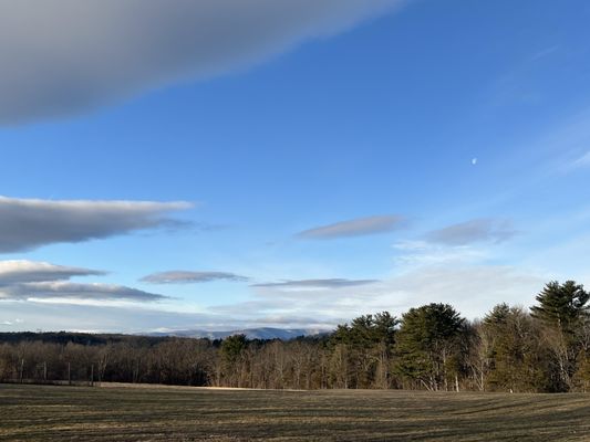 Gather Greene by null