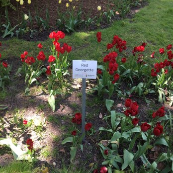 Centennial Park - Parks Near Me - Holland, Michigan Centennial Park - Parks Near Me - Holland, Michigan
