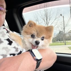 Daleville Animal Hospital - Great Vet!
