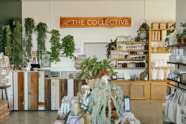 THE COLLECTIVE by null