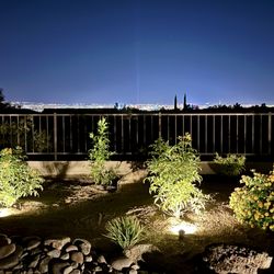 Anthem Landscape & Design - Hedges gone, flowering plants