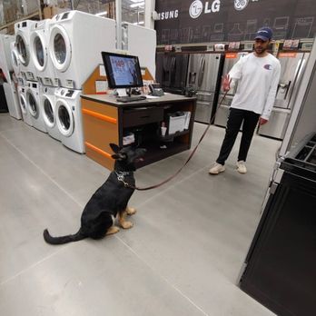 First Gen Dog Training - Pet Training Near Me First Gen Dog Training - Pet Training Near Me