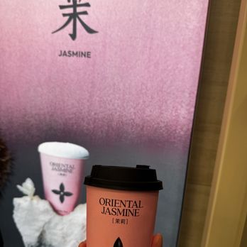 Molly Tea - jasmine tea - Bubble Tea Near Me - Flushing, New York Molly Tea - jasmine tea - Bubble Tea Near Me - Flushing, New York