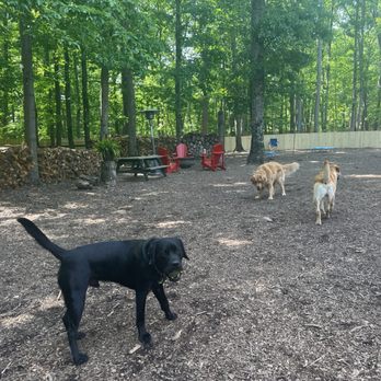 Happy Paws K-9 - Pet Boarding Near Me - Leesburg, Virginia Happy Paws K-9 - Pet Boarding Near Me - Leesburg, Virginia