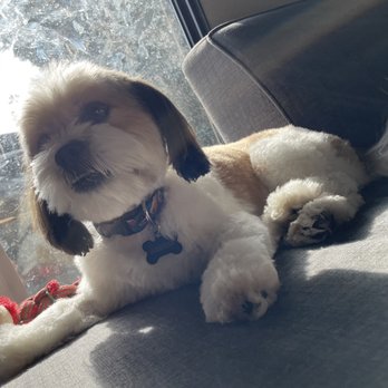 Paws R Us - Pet Groomers Near Me - Fresno, California Paws R Us - Pet Groomers Near Me - Fresno, California