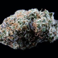 Green Energy Meds - Cherry Pie in Macro!