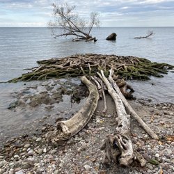 Beechwood State Park