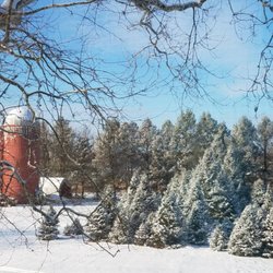 Liberty Farms