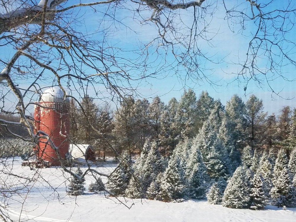 LIBERTY FARMS Updated September 2024 141 Brynmore Rd, New Egypt, New Jersey Nurseries