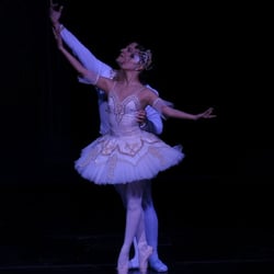 Sugar Plum Fairy & Cavalier