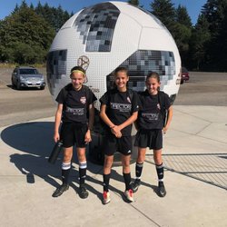 Harmony Sports Complex - Washington Timbers Giant Adidas Soccer Ball.