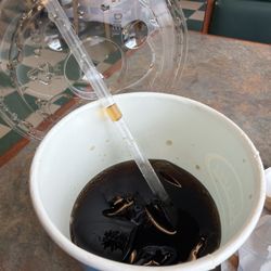 The taste of bad tap water is very strong in the fountain drink.
