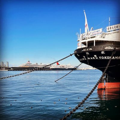 NYK Hikawa Maru by null