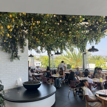 Truly Pizza - Inside | IG: @socalsnomnoms - Pizza Near Me - Dana Point, California Truly Pizza - Inside | IG: @socalsnomnoms - Pizza Near Me - Dana Point, California